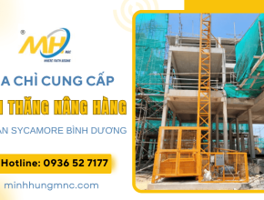 Đơn vị cung cấp vận thăng nâng hàng cho dự án Sycamore Bình Dương